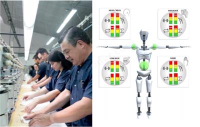 scalefit INDUSTRIAL ATHLETE 人体工程学分析软件