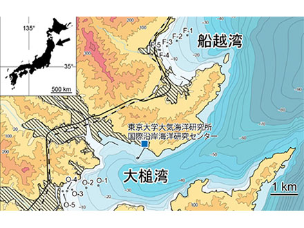 大津波から回復し始めた海底生態系