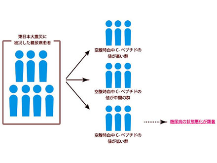 Cペプチドで災害後の糖尿病悪化を予測