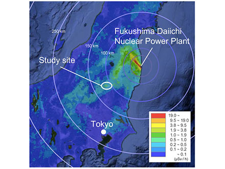 原発事故が北関東のオオタカ繁殖に打撃