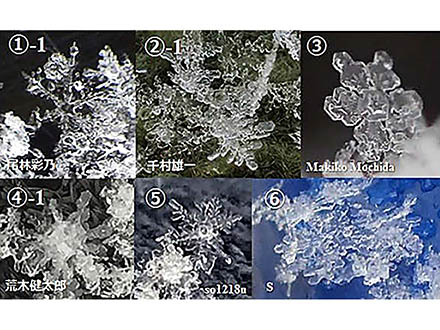 市民が撮影して送った雪結晶の写真は、7割の高率で研究に役立った