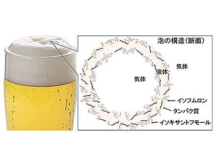 ナノバブルは泡ではない？ 重力により沈む様子を顕微鏡で観測 九州工業大など