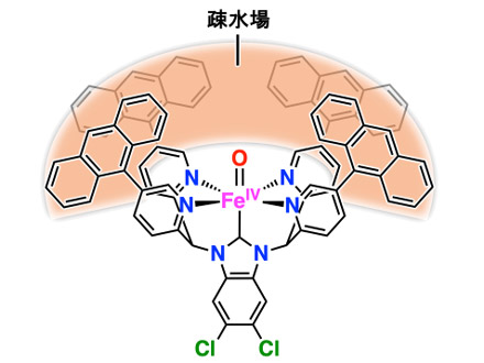 メタンをメタノールに効率よく変換、鉄錯体の触媒で 筑波大など