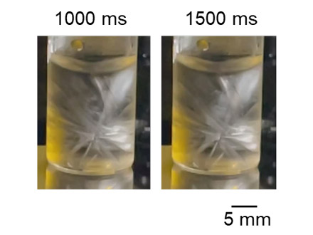 ナノバブルは泡ではない？ 重力により沈む様子を顕微鏡で観測 九州工業大など