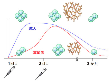 特集：新型コロナウイルス感染症<br