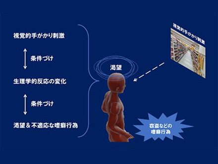 依存症の万引き、店内風景を不適切に学習 京都大など解明