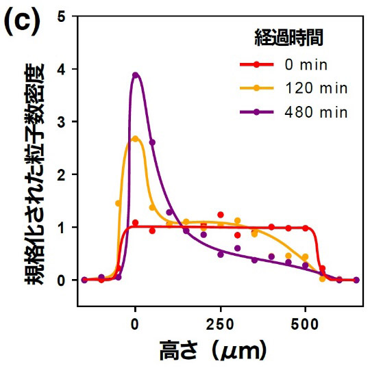 高さごとのナノバブルの粒子密度。高さ0マイクロメートルが底で一番上が500マイクロメートル。0分ではどの高さにもナノバブルがある。120分、480分と時間がたつと下の粒子密度が上がり、沈んだことが分かる（九州工業大学の植松祐輝准教授提供）