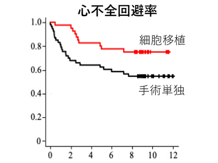 「小児単心室症」、幹細胞移植で術後経過が良好に 岡山大などが8年追跡調査