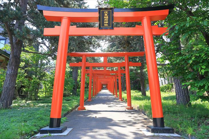 札幌伏見稲荷神社 鳥居の参道