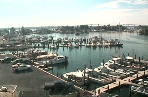 View of marina with boats docked