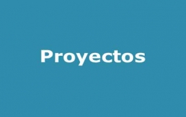 Proyectos