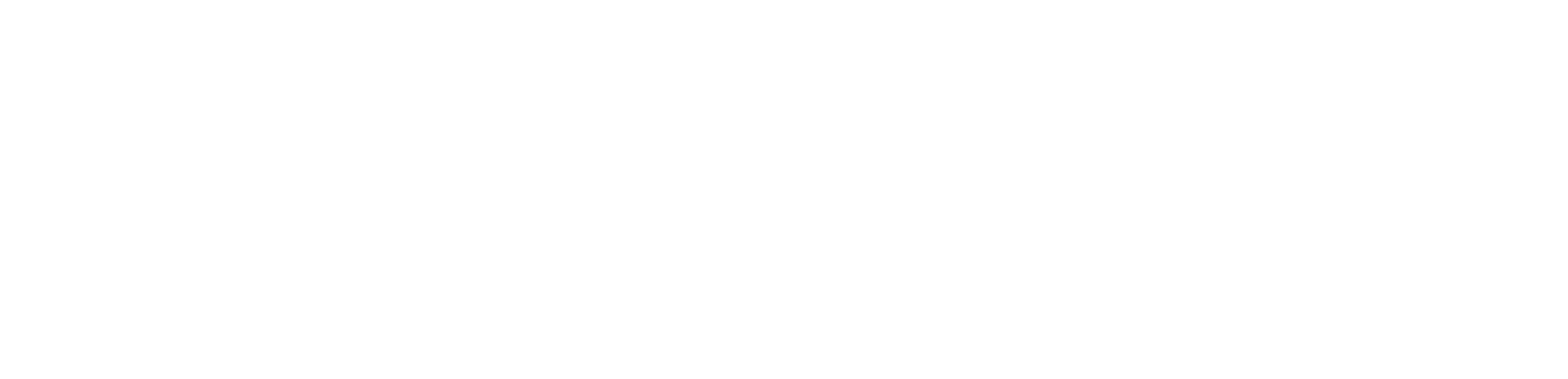 SSD Logo