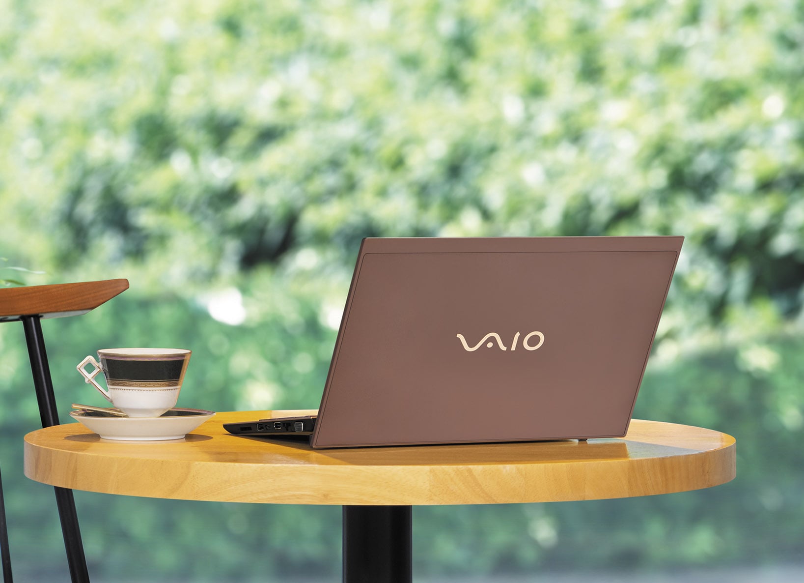 VAIO SX12