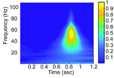 Corresponding 2D vibration spectrum diagrams a) for healthy vibration signal  and b) for faulty vibration signal