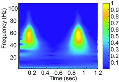 Corresponding 2D vibration spectrum diagrams a) for healthy vibration signal  and b) for faulty vibration signal