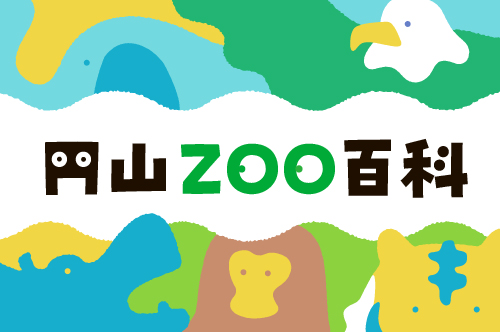 【円山ＺＯＯ百科】かわいいだけじゃない動物の姿