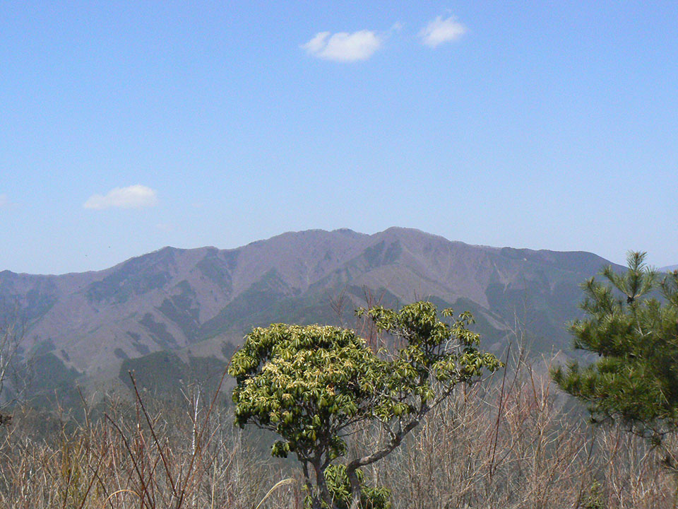 山の画像