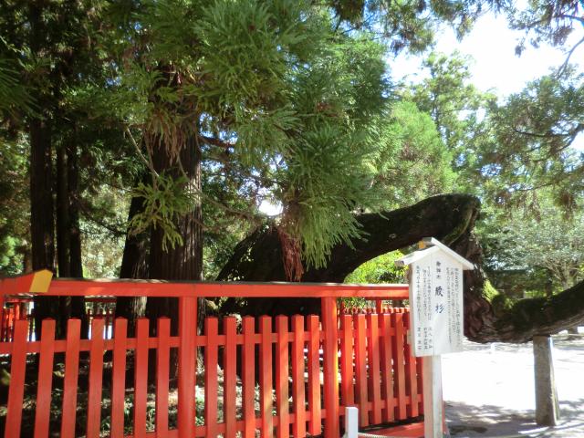 画像: 窪山 比呂志税理士事務所(福岡県福岡市東区 香椎２丁目２番６号エスポワール香椎５０４号)