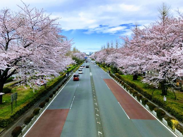 画像: 橋本友樹税理士事務所(東京都国立市中1-18-16　ﾐﾝｺｰﾄｸﾞﾗﾝﾃﾞ202号)