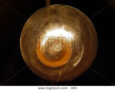 Light Bulb Close Up