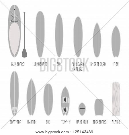 Set of surfboard types, volume shapes in scale. Different silhouettes isolated Infographics