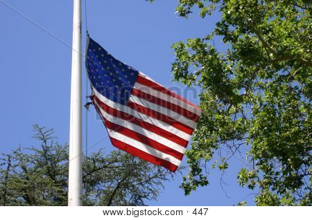 US Flag On Pole