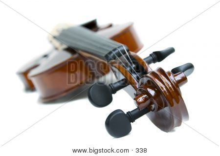 Violin From Scroll End