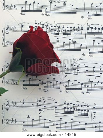 Music Rose